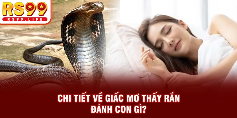Chi tiết về ý nghĩa và bộ số khi mơ thấy rắn